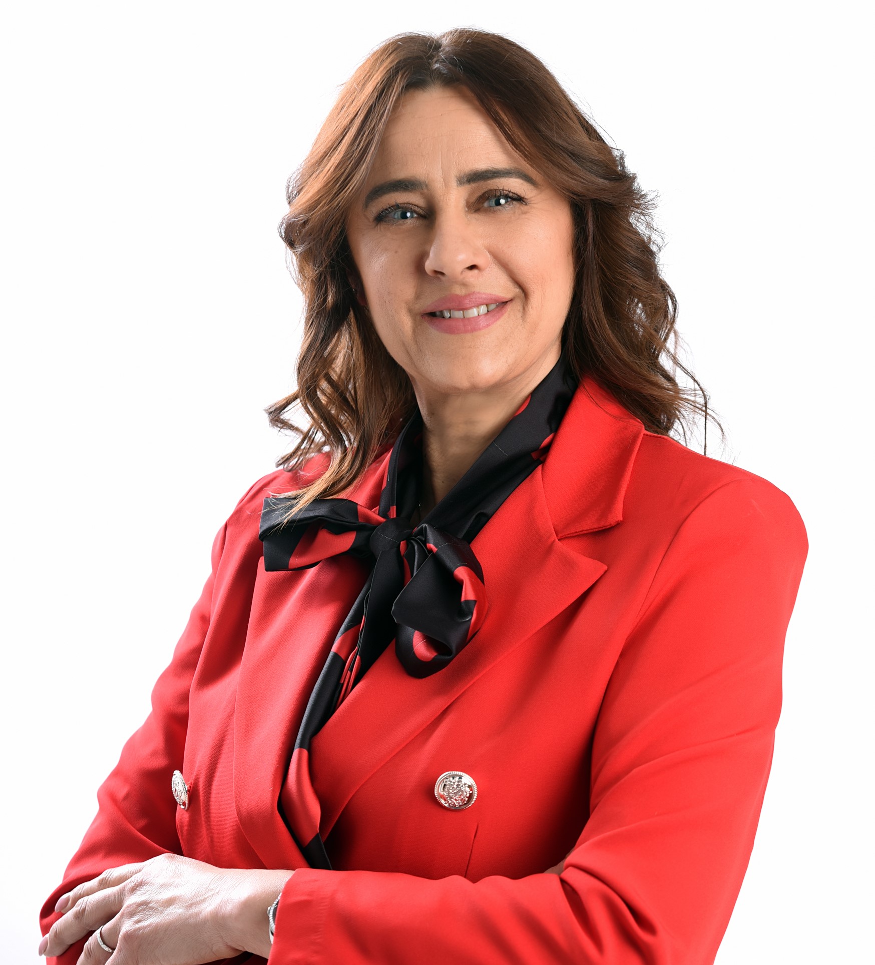 Vice Presidente del Consiglio